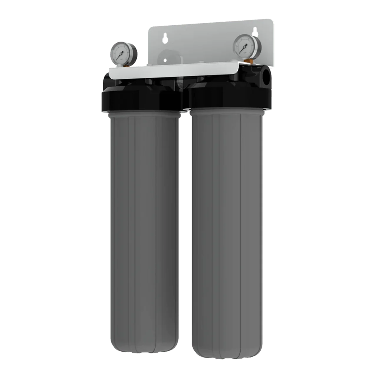 AXEON FSD - 220 Double Filter System Housing 3/4 Inch FNPT with Pressure Gauges 200092 - ESP Water