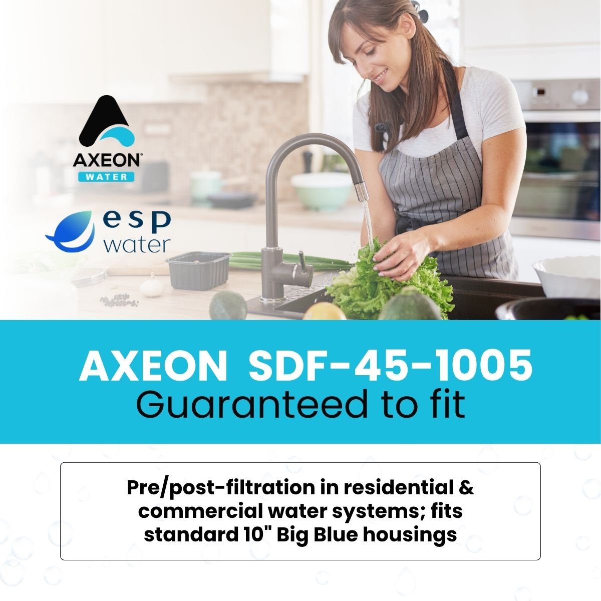 AXEON 200635 sediment filter compatibility for standard 10-inch Big Blue-style housings
