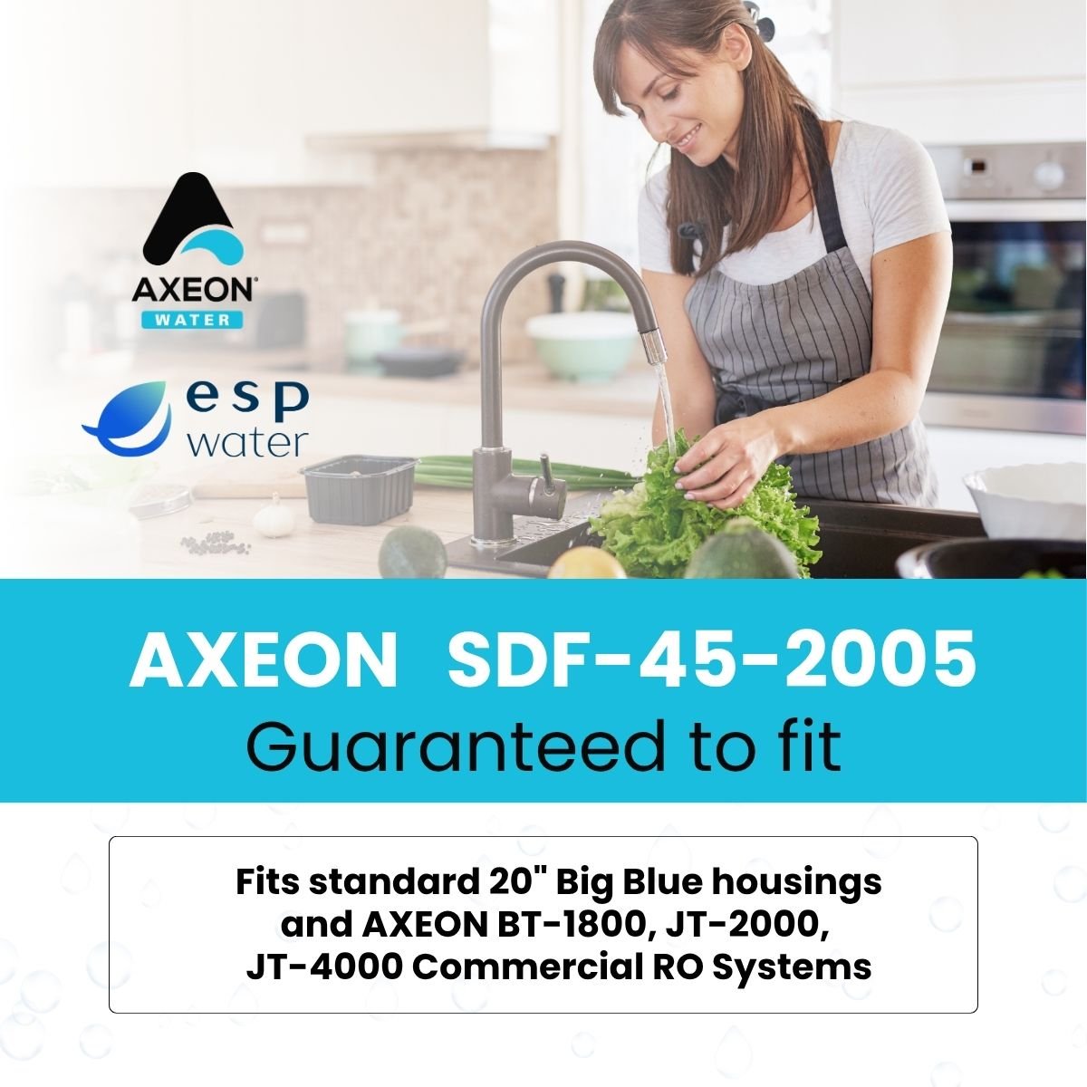 AXEON 200640 sediment filter compatibility for standard 20-inch Big Blue-style housings