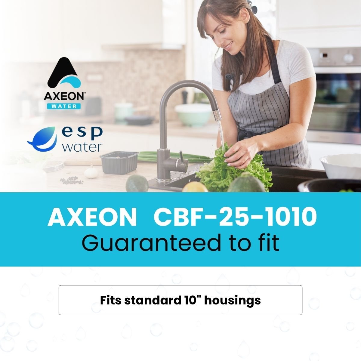 AXEON 200658 carbon block filter compatibility for standard 10-inch water filter housings