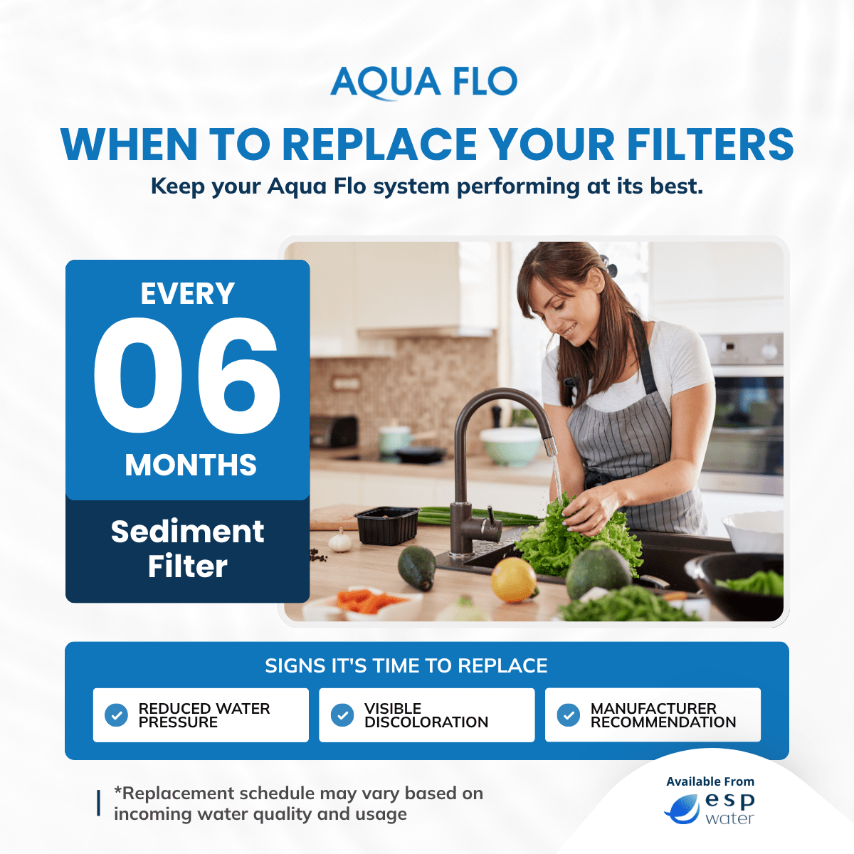 Aqua Flo quick-change filter replacement schedule with 41407001 sediment filter changed about every six months