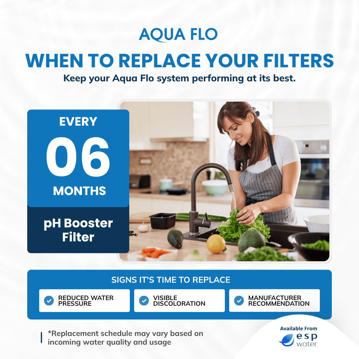 Aqua Flo 41407007 pH booster filter recommended replacement schedule