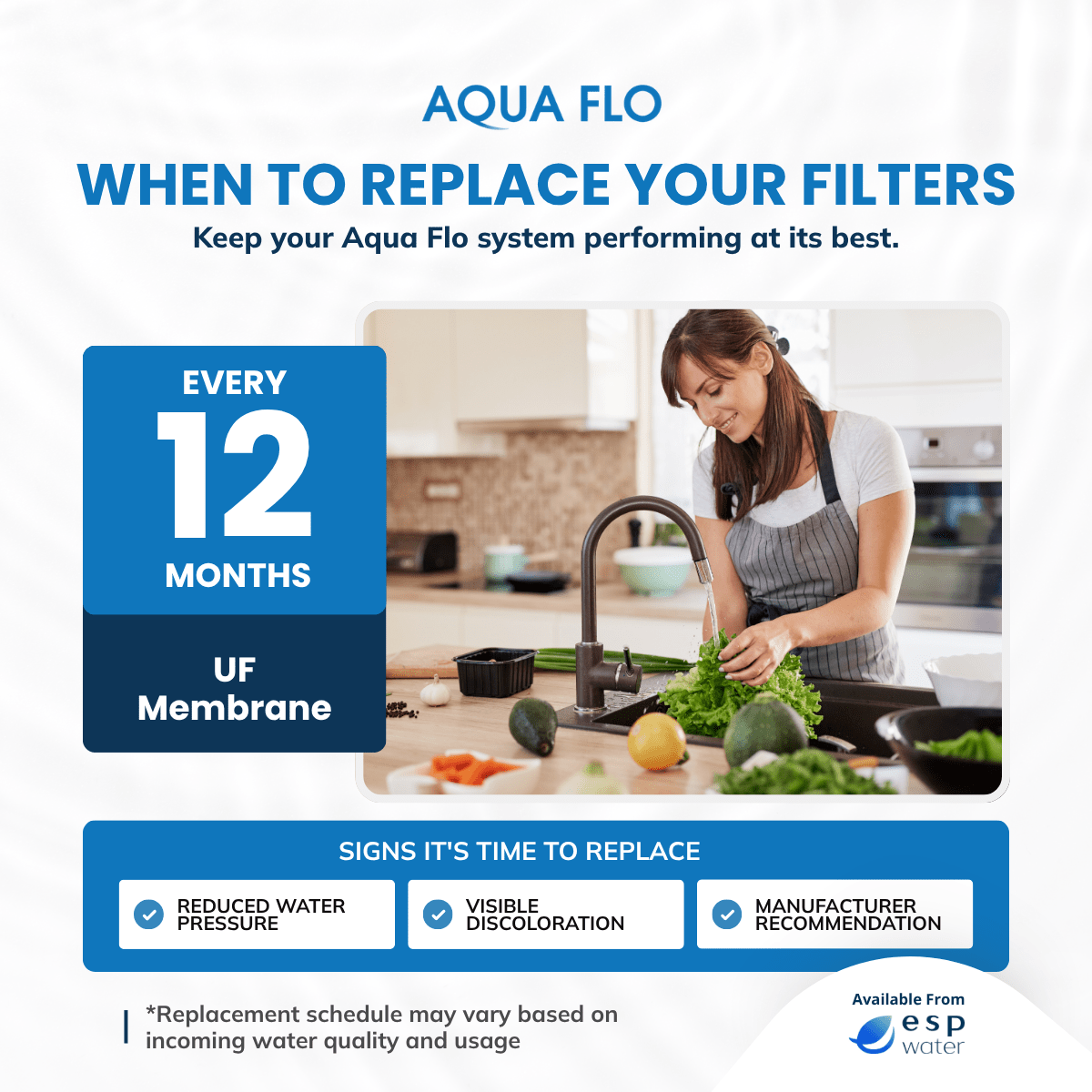 Aqua Flo 41407005 ultrafiltration membrane recommended replacement schedule