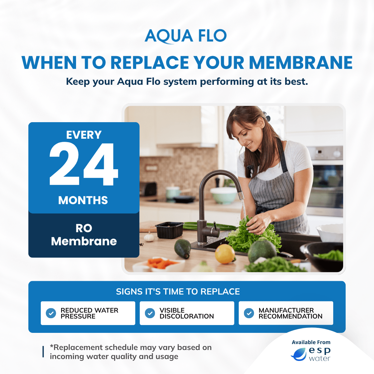 Aqua Flo 41407003 RO membrane replacement schedule and maintenance guidance