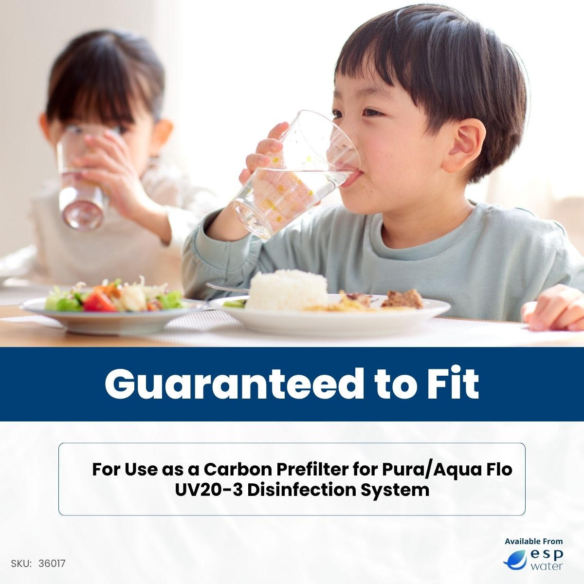 Pura 36017 replacement filter compatibility for Pura and Aqua Flo UV20-3 systems