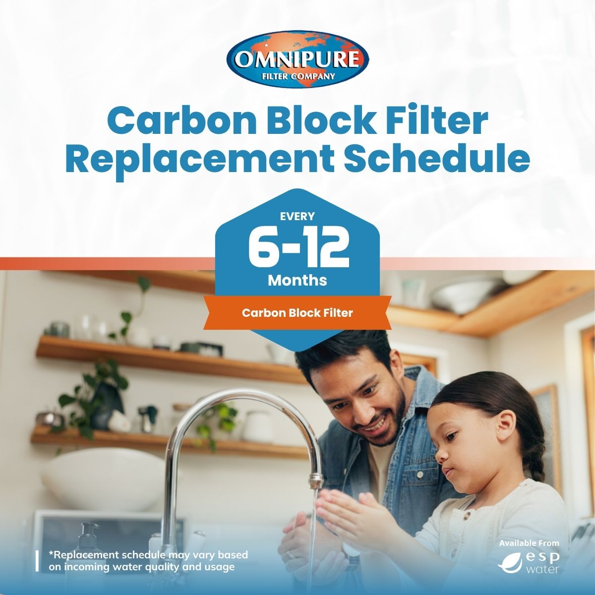 Omnipure Q5629 carbon block filter recommended replacement schedule