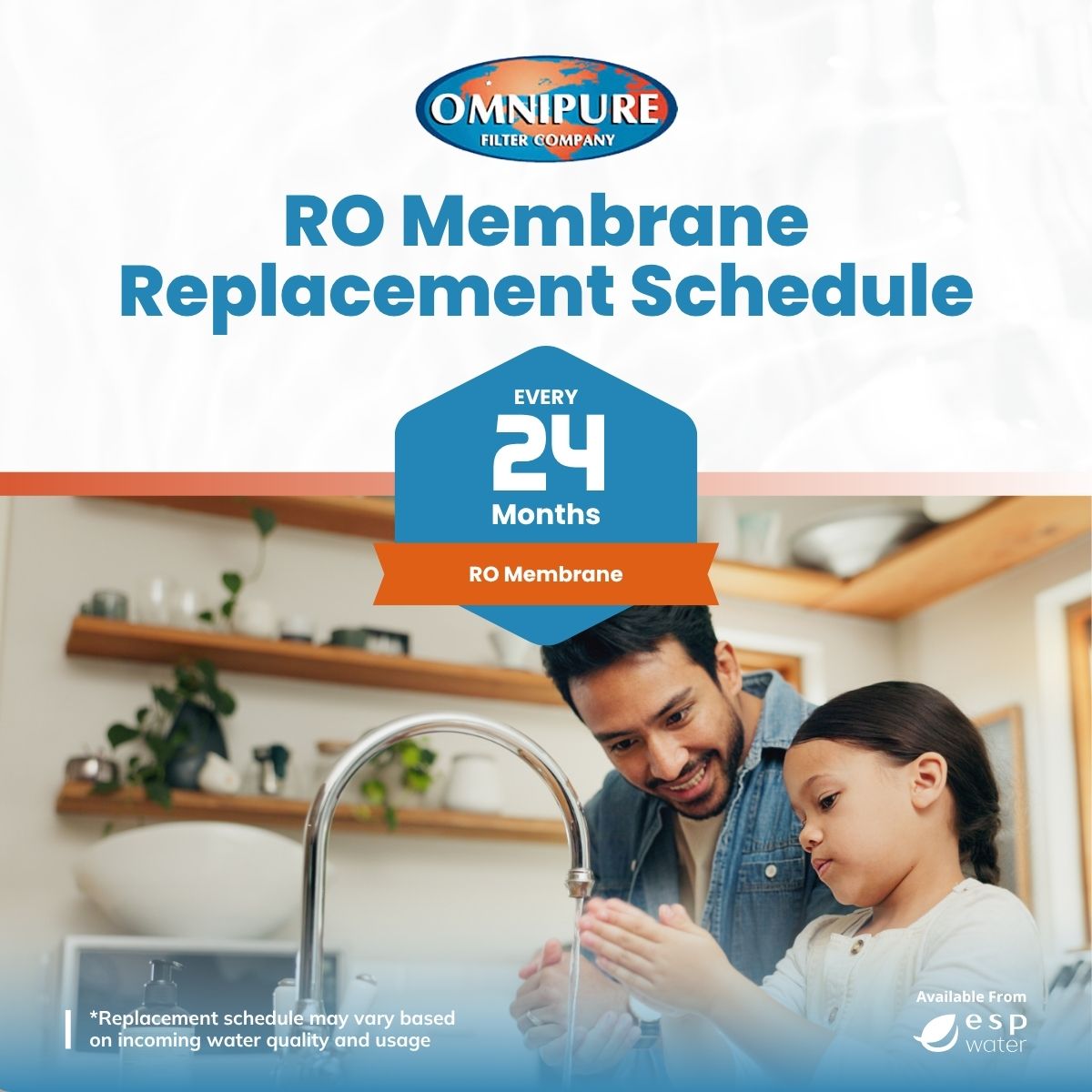 Omnipure reverse osmosis membrane recommended replacement schedule