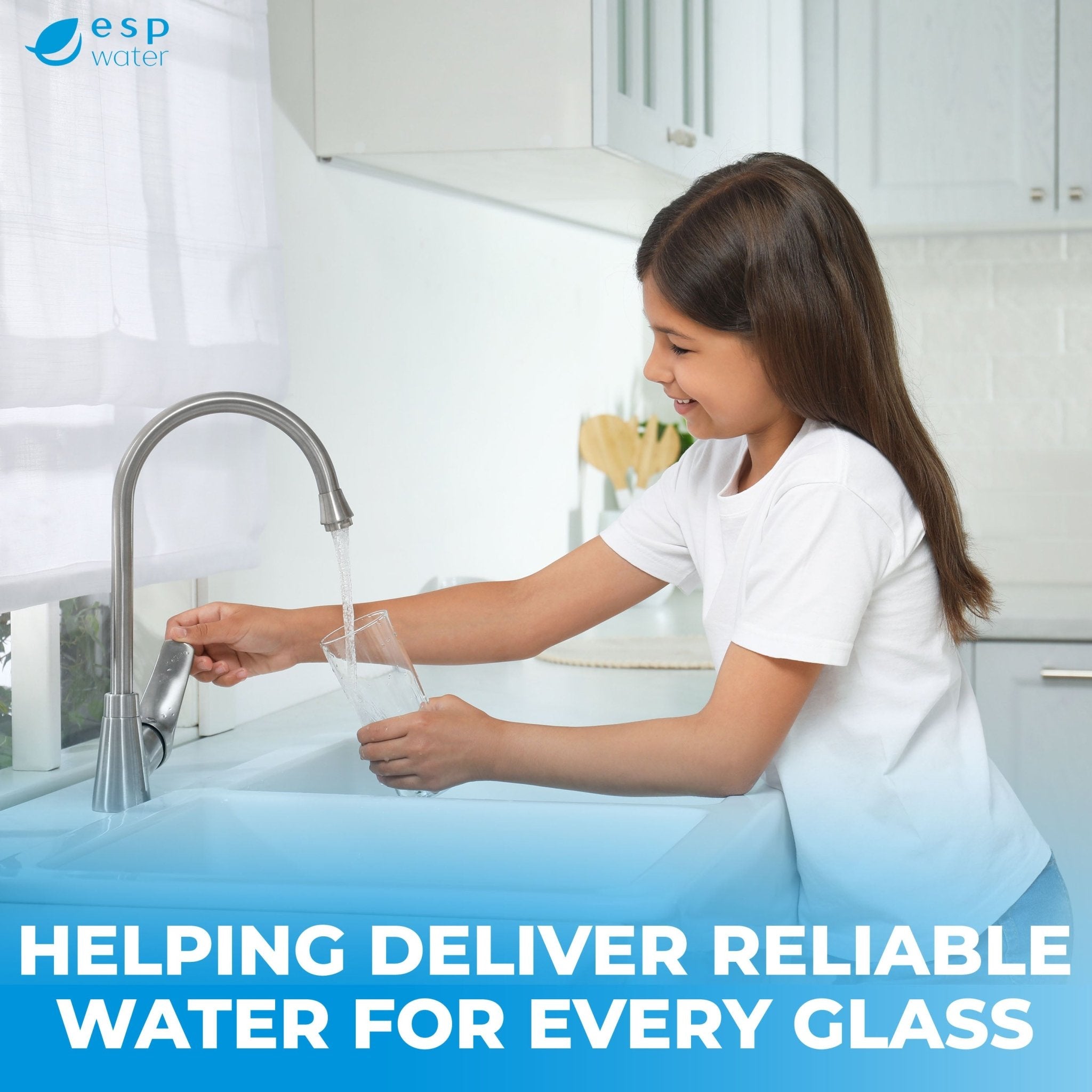 VIQUA AWP42B-V-PS high-flow filter housing kit for whole-home prefiltration