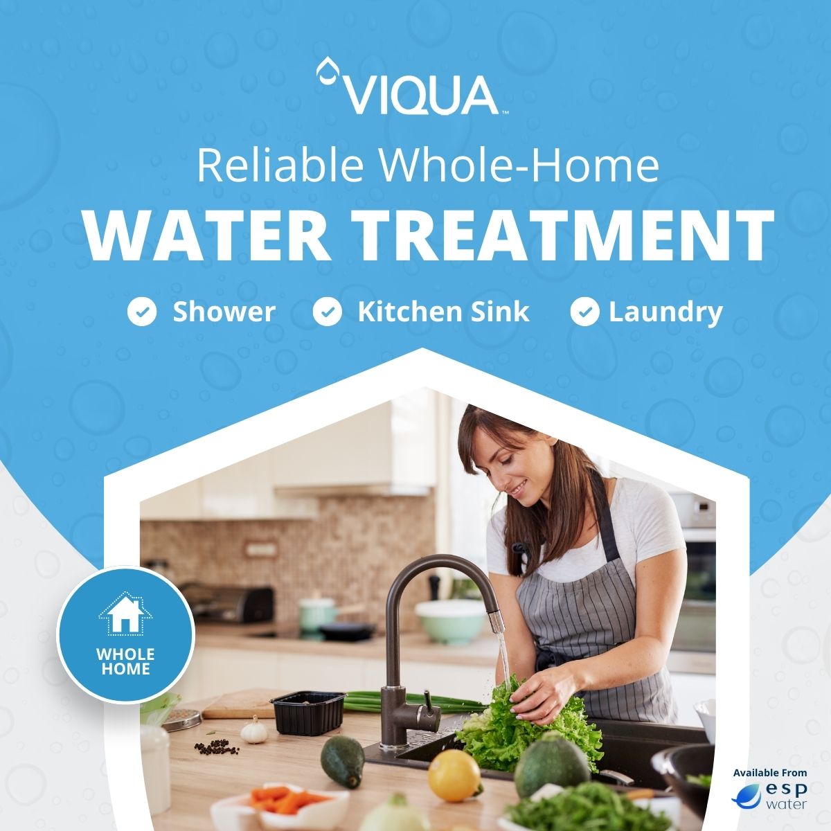 VIQUA Arros 15-IHS22 UV water treatment applications