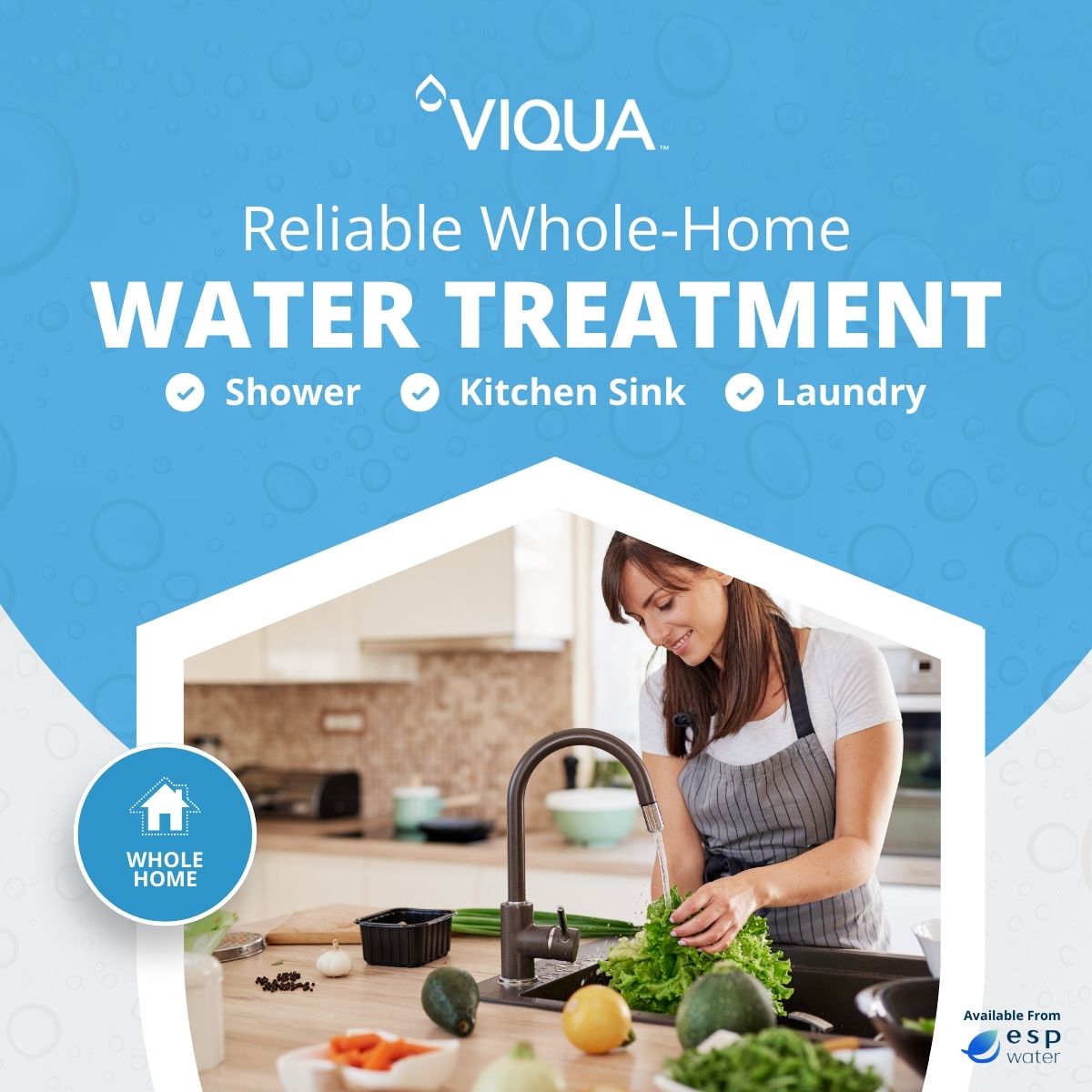 VIQUA Arros 15 UV water treatment system applications for residential use
