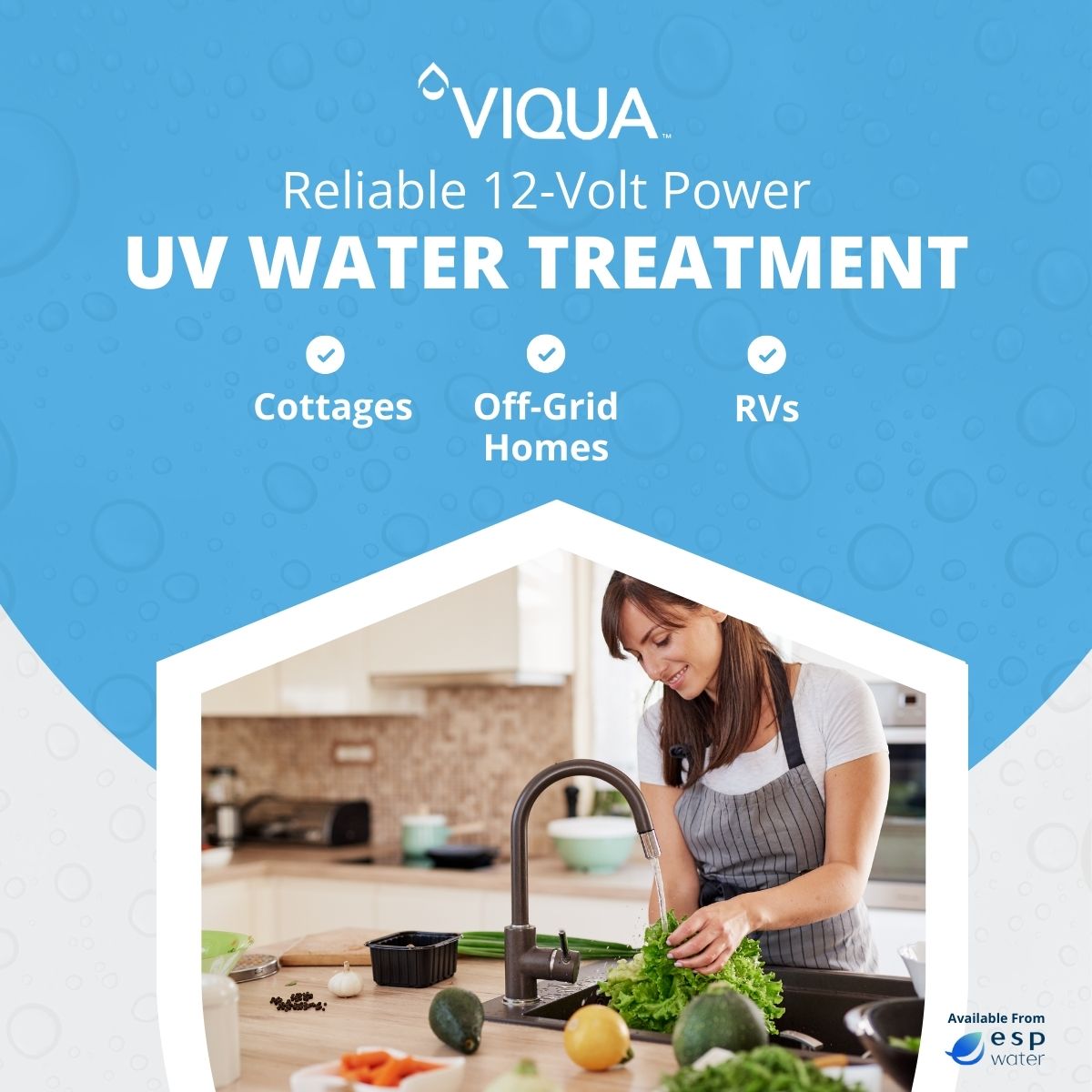 VIQUA S2Q - P/12VDC UV System 3 GPM 12VDC S2Q-P/12VDC - ESP Water
