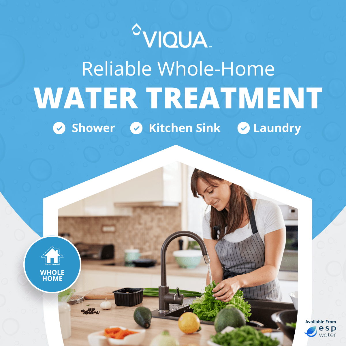 VIQUA VH410-F20 applications for large-home and light-commercial UV treatment with prefiltration