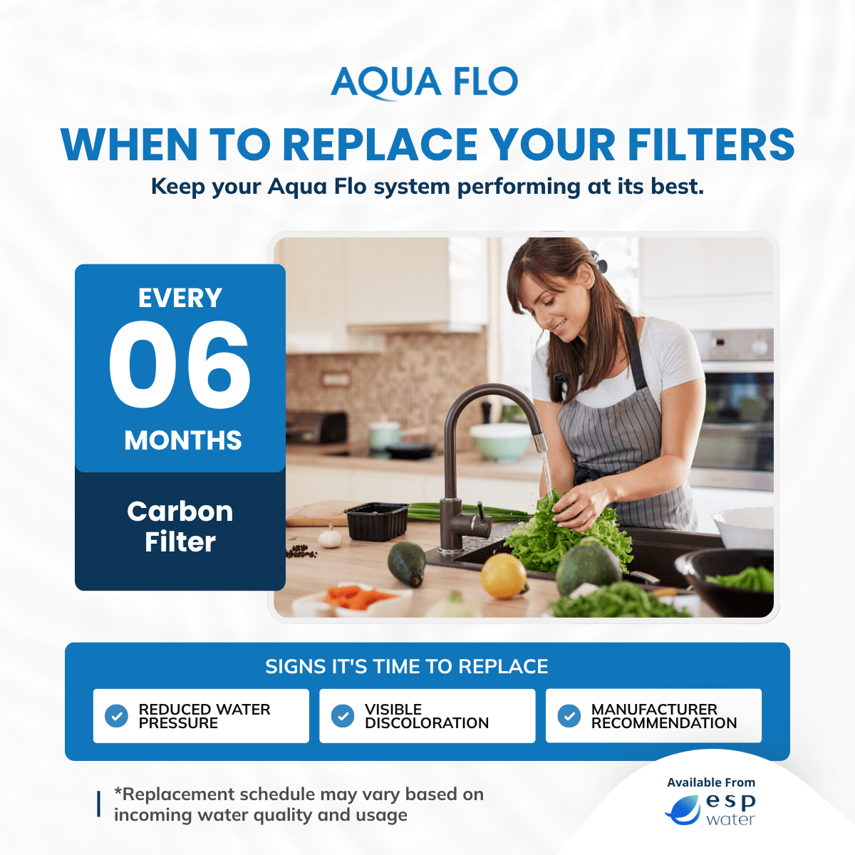 Aqua Flo 41407002 quick-change carbon filter replacement schedule and maintenance guidance