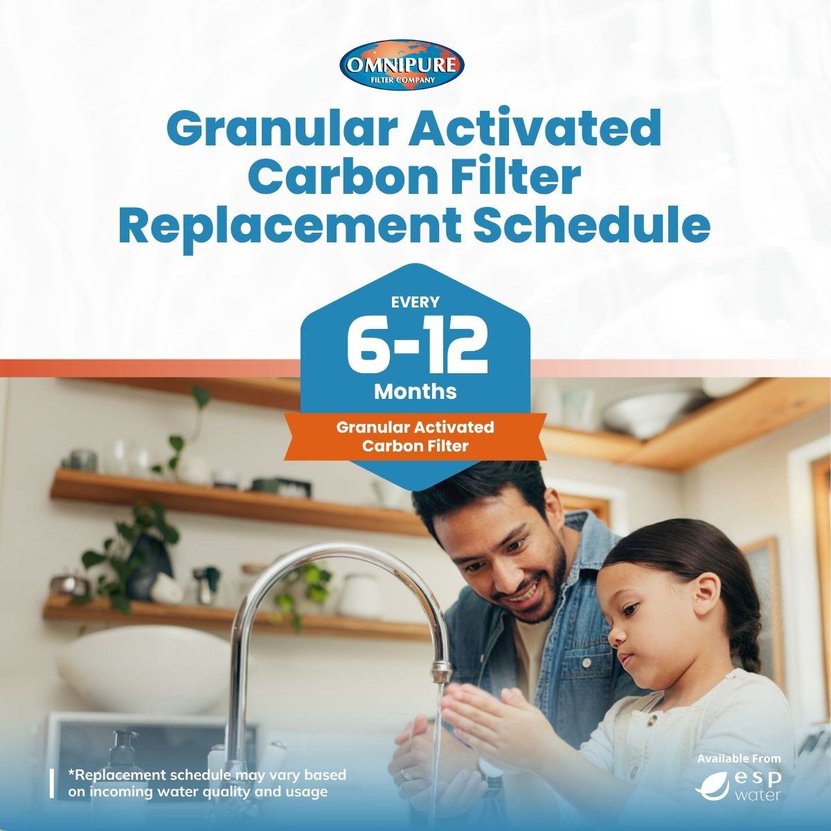 Omnipure Q5633 granular activated carbon filter replacement schedule and maintenance guidance